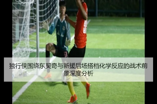 独行侠围绕东契奇与新援后场搭档化学反应的战术前景深度分析